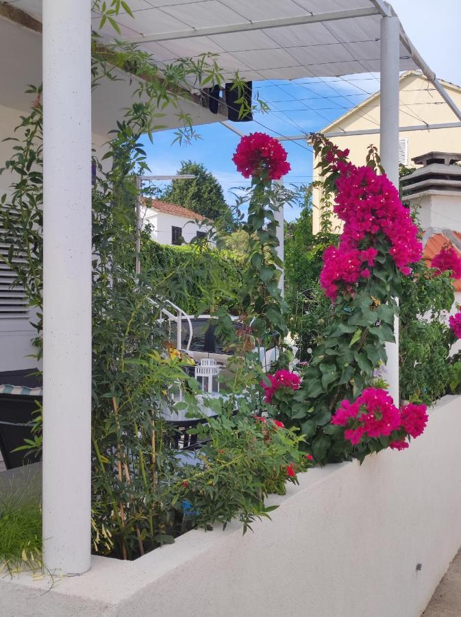 Apartmani Branka Drače エクステリア 写真